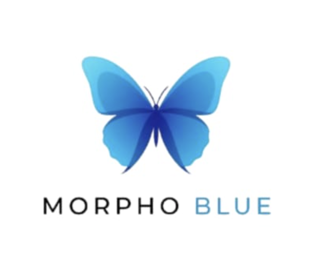  مورفو بلو